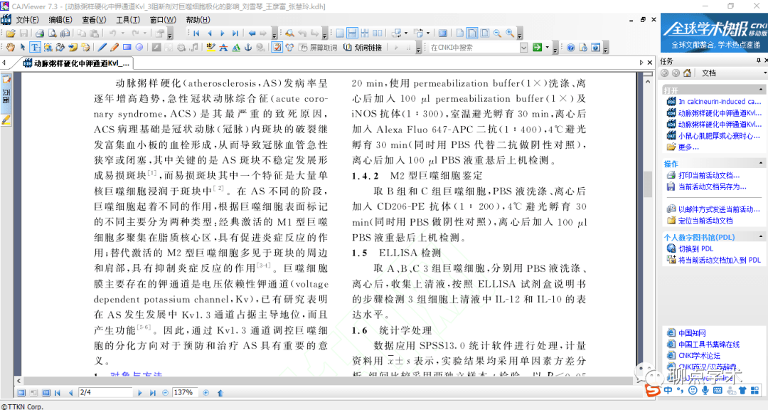 正版综合资料一资料大全,速度解答解释落实_内测版18.61.94